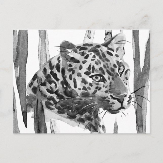 Carte Postale Cheetah Portrait (Devant)