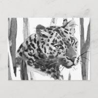 Cheetah Portrait