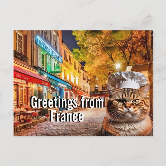 Carte Postale Chef Cat envoie des salutations de France (Devant)