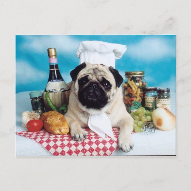 Carte Postale Chef chien carlin (Devant)