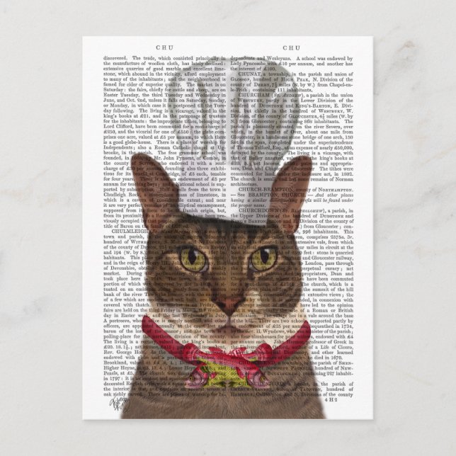 Carte Postale Chef de chats (Devant)