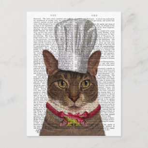Carte Postale Chef de chats