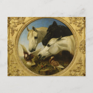 Carte Postale Chef-d'oeuvre cheval & colombe peinture John Herri