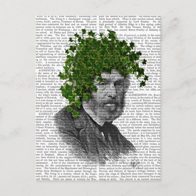 Carte Postale Chef du Plante Ivy Head (Devant)