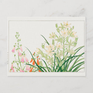 Carte Postale Chelone barbata, Ornithogalum par Tanigami Konan