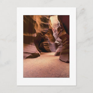 Carte Postale "Chemin à travers le temps"