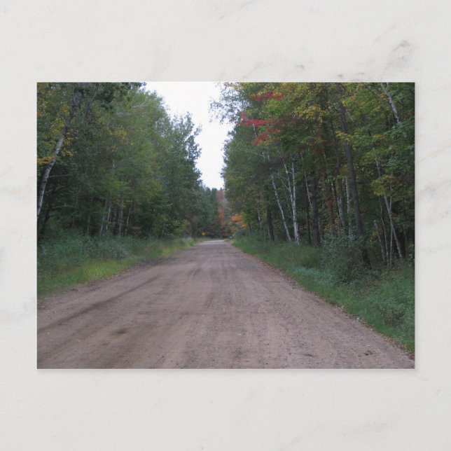 Carte Postale Chemin à travers les bois (Devant)