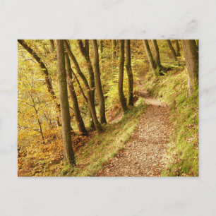 Carte Postale Chemin boisé automnal