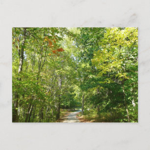 Carte Postale Chemin boisé centenaire I Ellicott City Nature