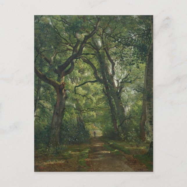 Carte Postale Chemin dans la forêt, 1864 (Devant)