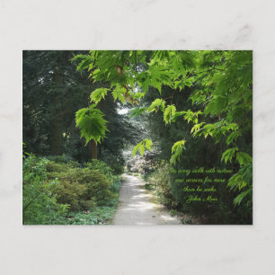 Carte Postale Chemin dans la nature arbres verts Citation de pho