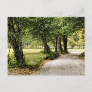 Carte Postale Chemin dans le pays