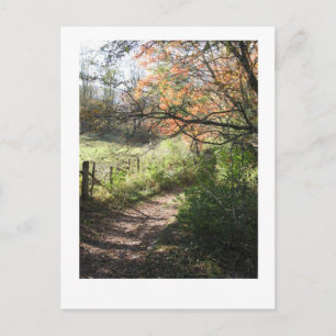 Carte postale Chemin d'automne