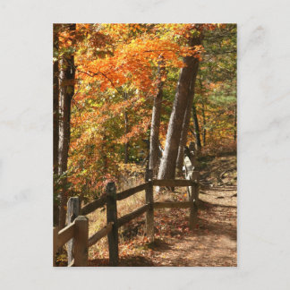 Carte Postale Chemin d'automne