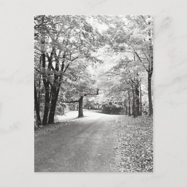 Carte Postale Chemin d'automne (Devant)