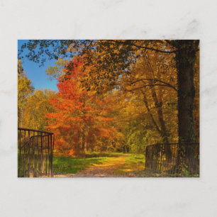 Carte Postale Chemin d'automne