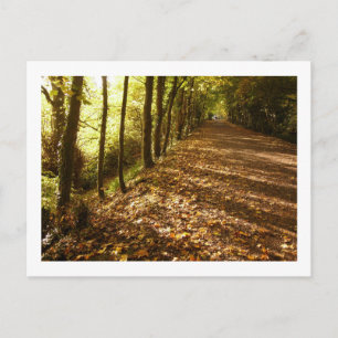 Carte Postale Chemin d'automne : Keswick