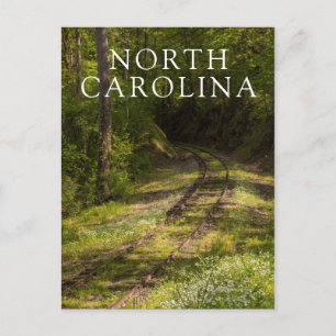 Carte Postale Chemin De Fer Abandonné Dans Une Forêt