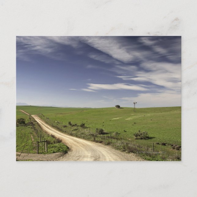 Carte Postale Chemin de ferme en lacets entre les champs de blé, (Devant)