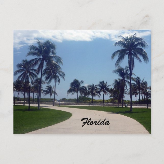 Carte Postale chemin de la plage de florida (Devant)