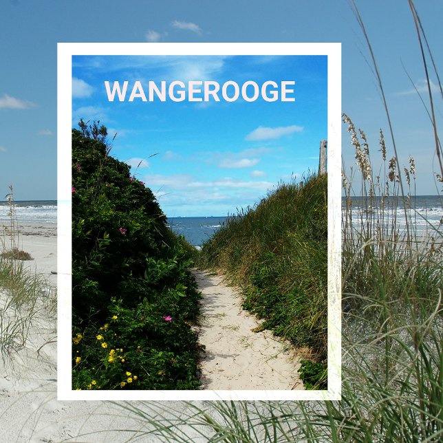 Carte Postale Chemin de la plage, dunes de sable, Wangerooge, Fr (Créateur téléchargé)