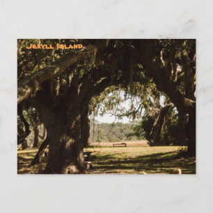 Carte Postale Chemin de l'île Jekyll jusqu'au marais