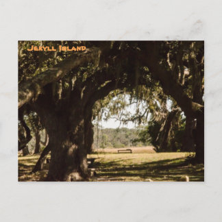 Carte Postale Chemin de l'île Jekyll jusqu'au marais