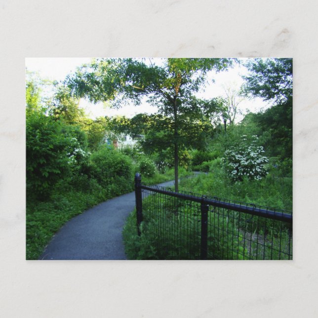 Carte Postale Chemin de marche vers la maison de bord (Devant)