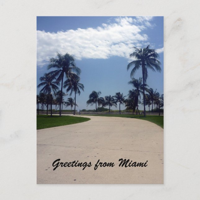 Carte Postale chemin de miami palm (Devant)