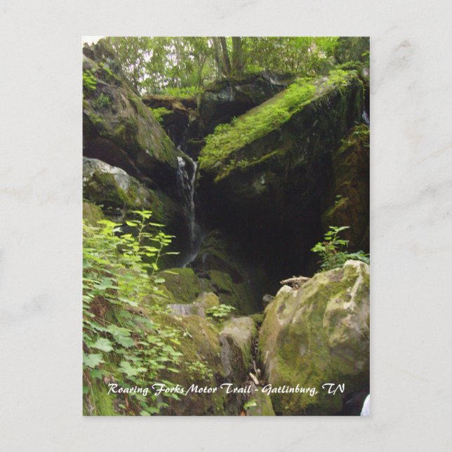 Carte Postale Chemin de moteur Roaring Forks - Gatlinburg, TN (Devant)