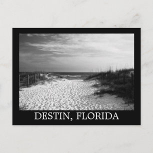 Carte Postale Chemin de plage noir blanc destin, floride