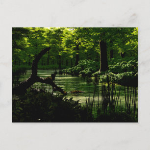 Carte postale Chemin de tranquillité