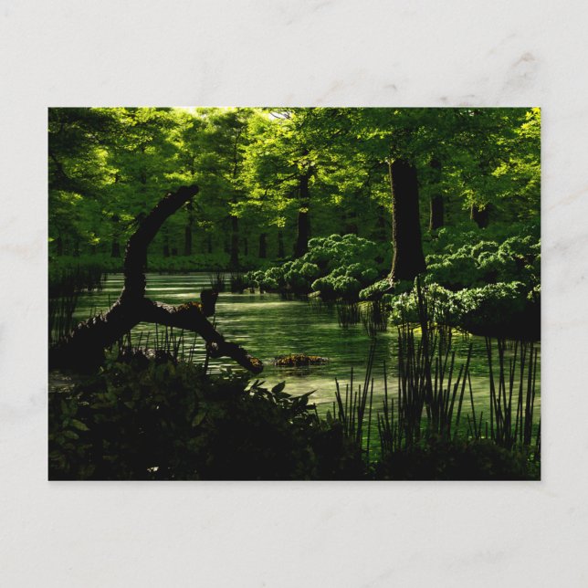 Carte postale Chemin de tranquillité (Devant)