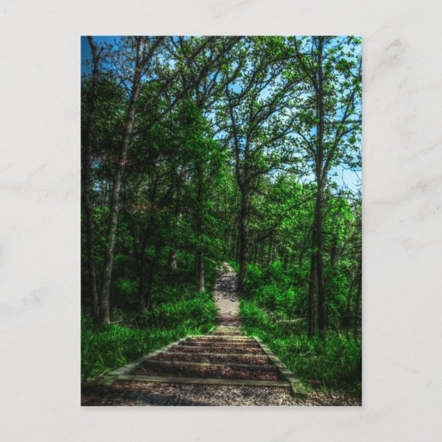 Carte postale Chemin De Vie (Devant)