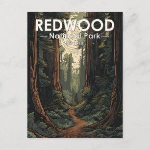 Carte Postale Chemin d'illustration du parc national Redwood Vin