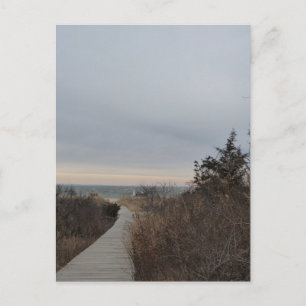 Carte Postale Chemin en bois