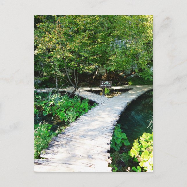 Carte Postale chemin en bois plitvice, croatie (Devant)