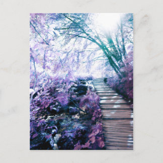 Carte Postale chemin enchanté