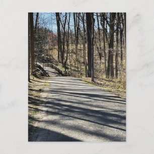 Carte postale Chemin et Pont de marche