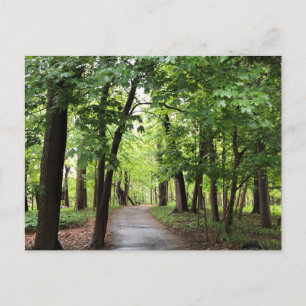 Carte Postale Chemin forestier