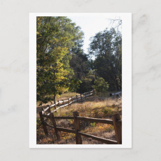 Carte Postale Chemin forestier