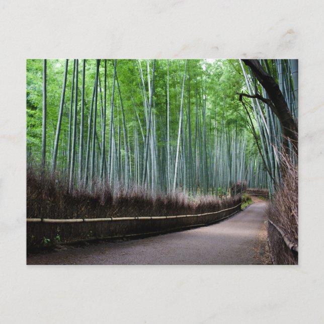 Carte Postale Chemin III (Devant)