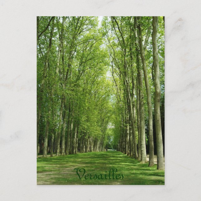 Carte Postale Chemin romantique France de jardins d'arbres de (Devant)