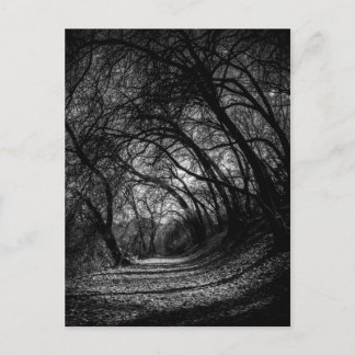 Carte Postale Chemin sombre