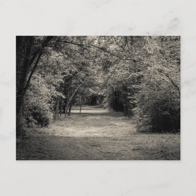 Carte Postale Chemin vers l'inconnu (Devant)