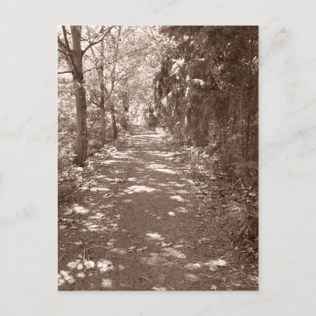 Carte Postale Chemin Woods—Sepia (Devant)