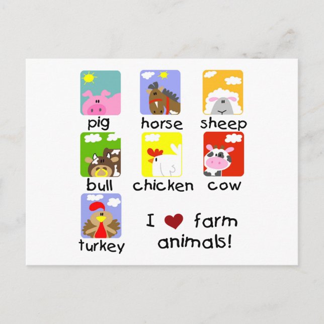 Carte Postale Chemises et cadeaux d'animaux de ferme (Devant)