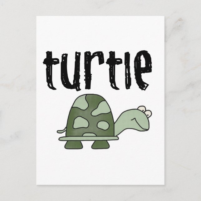 Carte Postale Chemises et cadeaux de tortues (Devant)