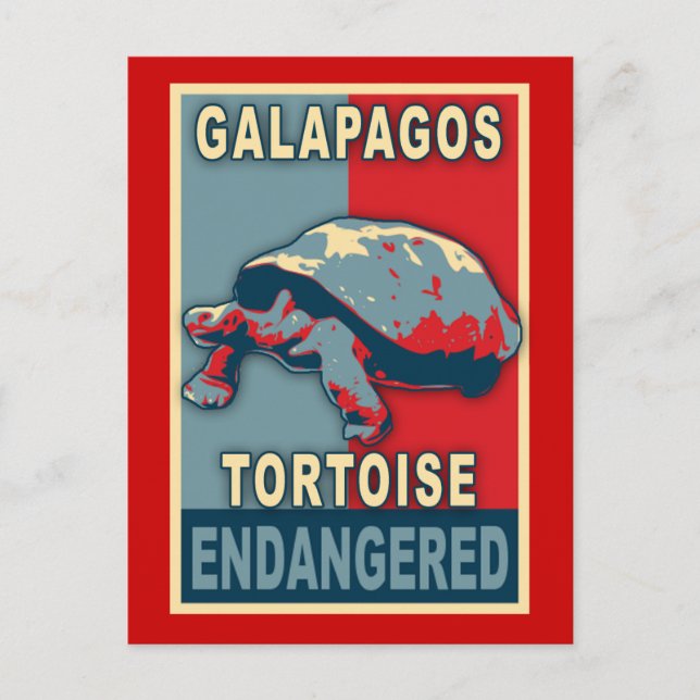 Carte Postale Chemises T-Shirt Art Pop Tortue des Galapagos en v (Devant)