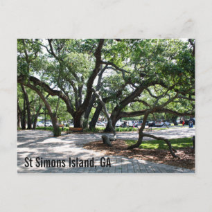 Carte Postale Chêne ambulant St Simons GA